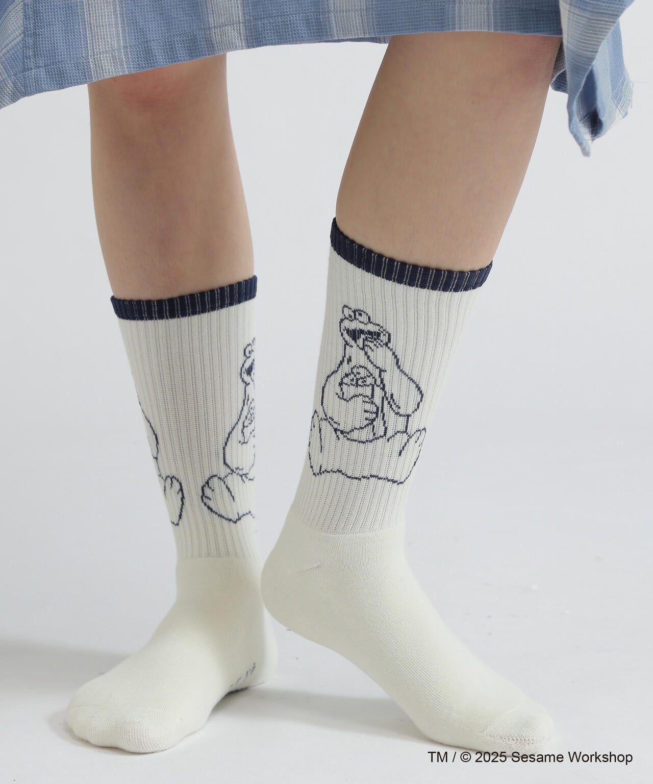 f7788f07-4c8a-51ed-aed9-25b9744a251b_Image