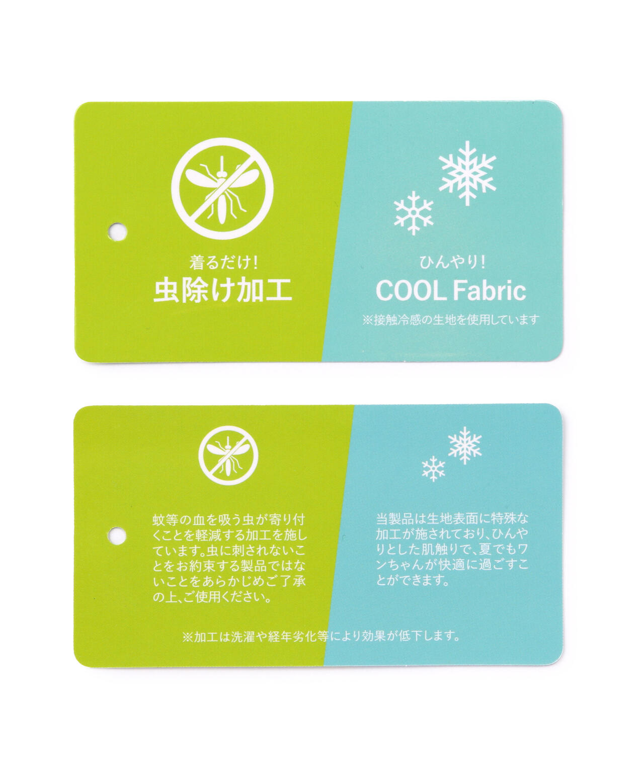 889ee55c-d735-5dd2-a891-4cc2c5578188_Image