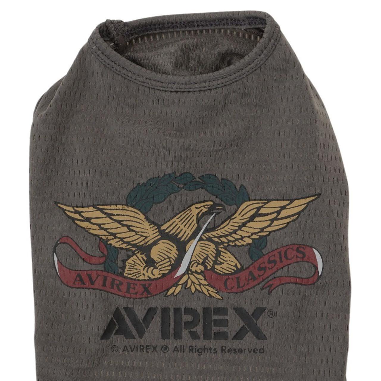 cba53fca-5b64-57c9-aa09-77afc5f61c43_Image