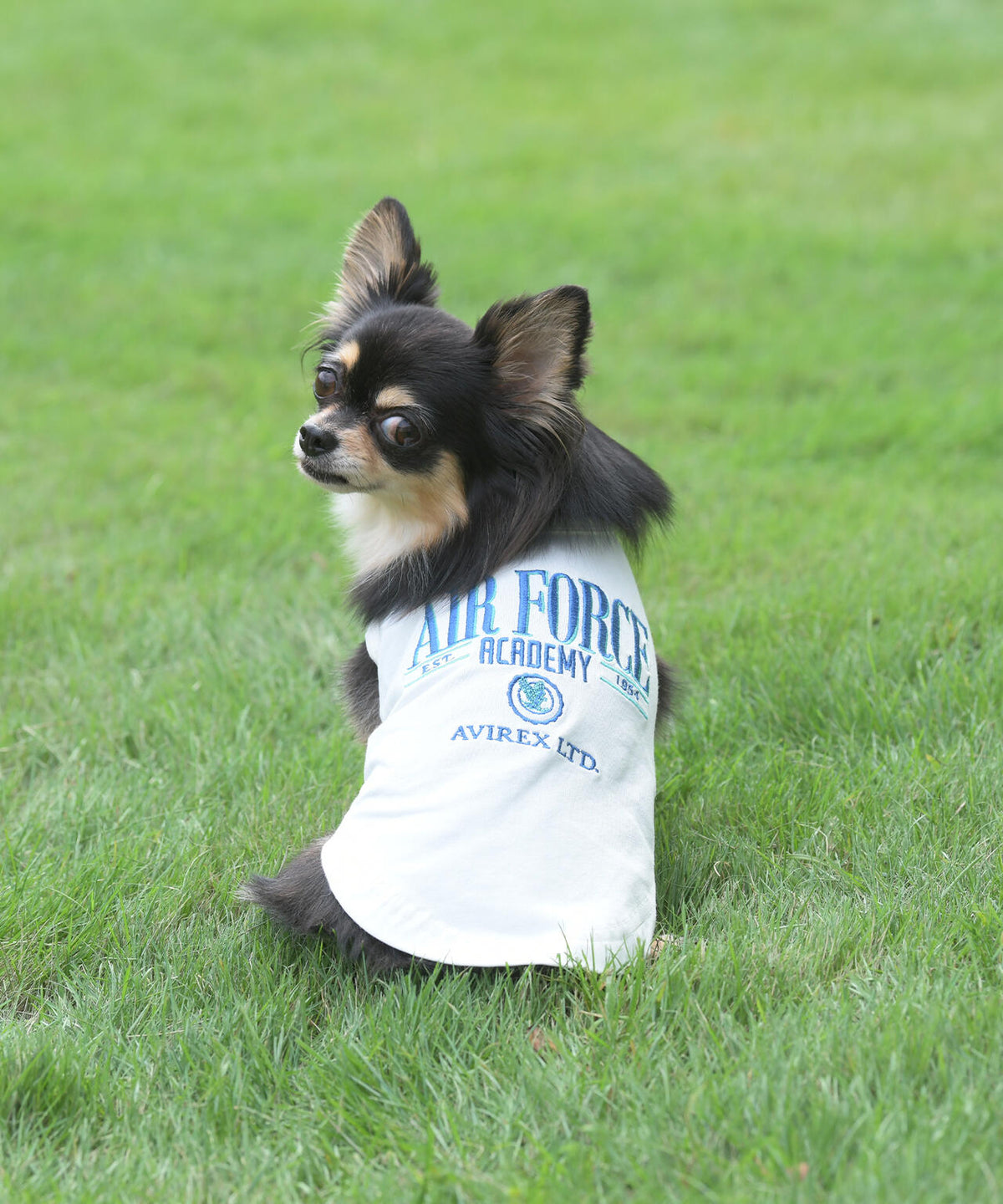 《DOG WEAR》USAFA EMB タンク