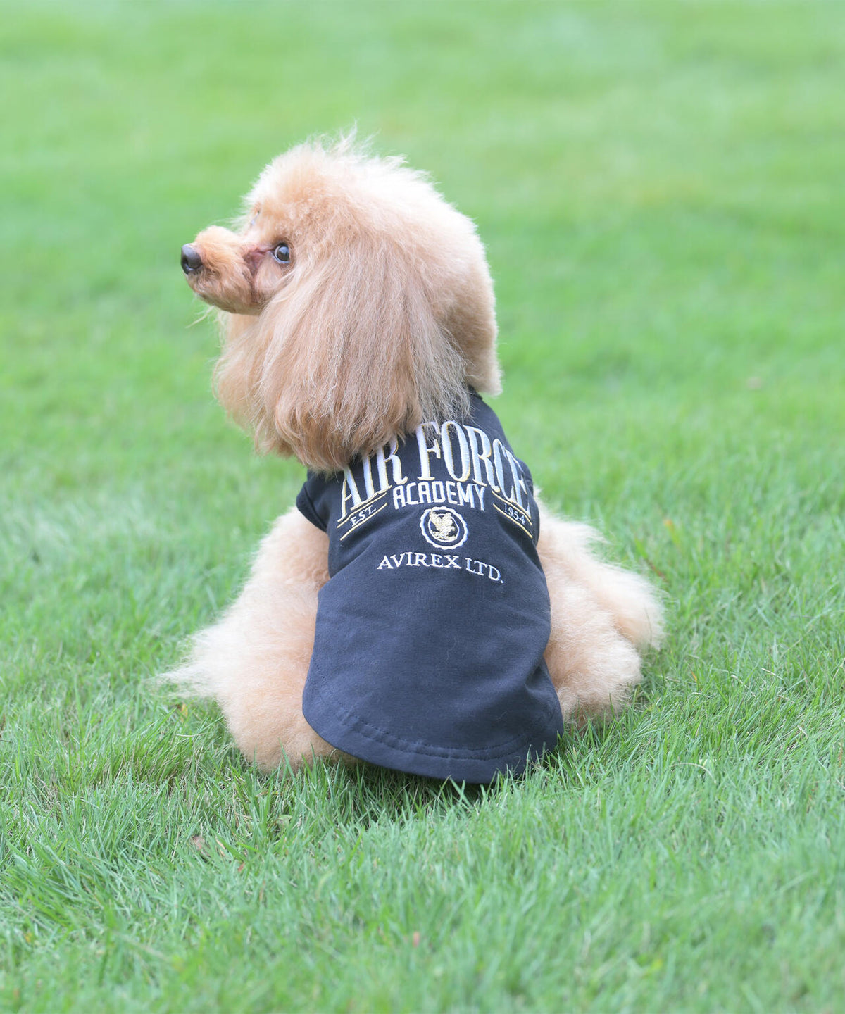 《DOG WEAR》USAFA EMB タンク