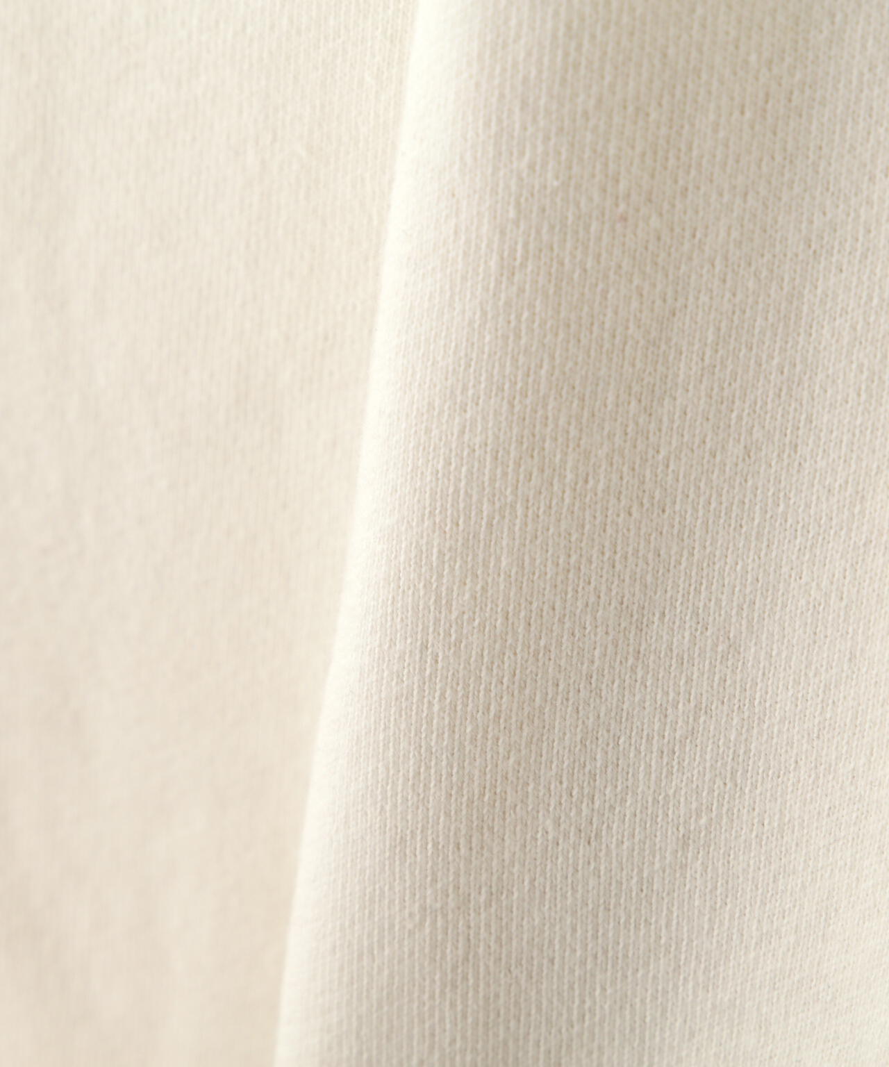 AVIREX 50th VARSITY SKIRT/バーシティースカート