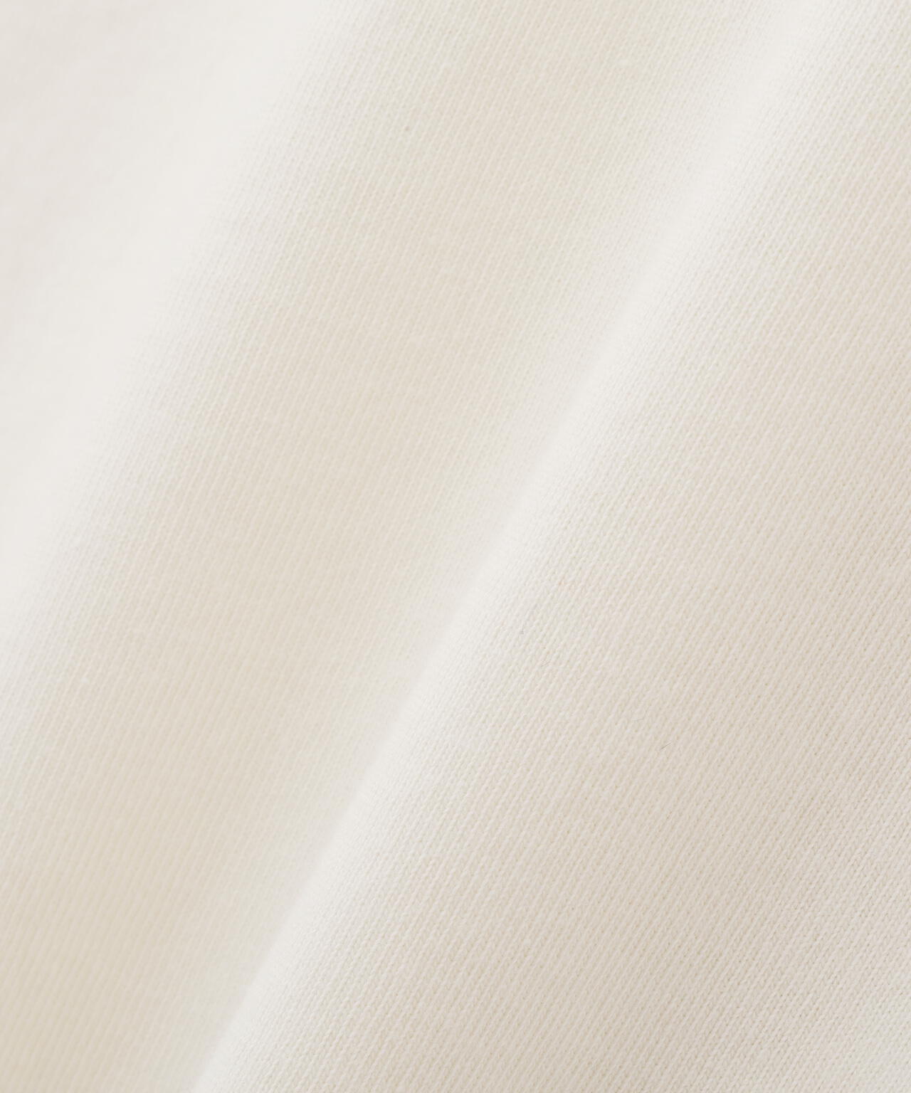 《SOUVENIR COLLECTION》SUKA HENLEY NECK T-SHIRT ”EAGLE”