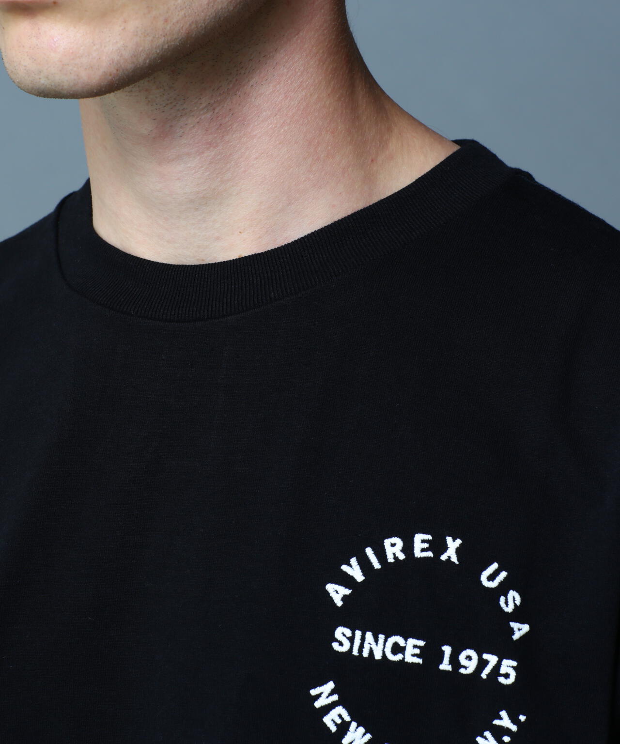VARSITY LOGO T-SHIRT 2.0 / バーシティ ロゴ Tシャツ2.0 / AVIREX / アヴィレックス