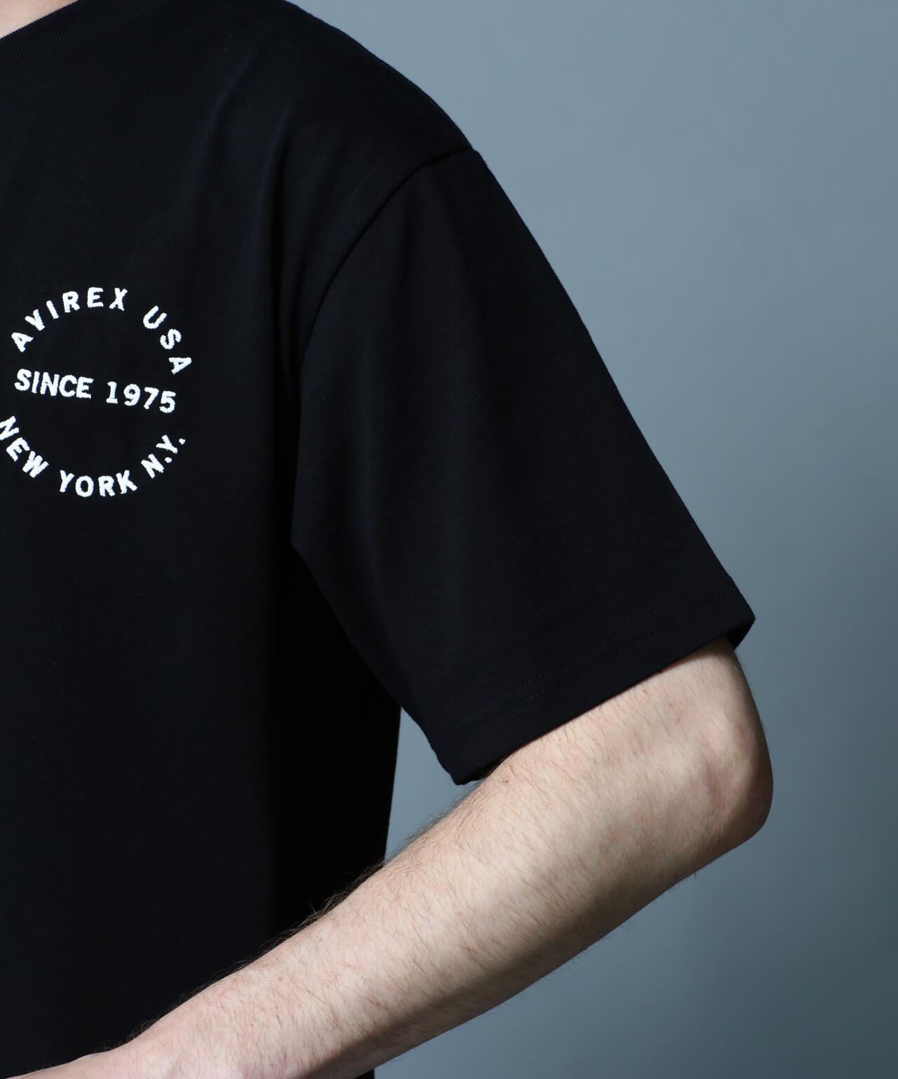 VARSITY LOGO T-SHIRT 2.0 / バーシティ ロゴ Tシャツ2.0 / AVIREX / アヴィレックス