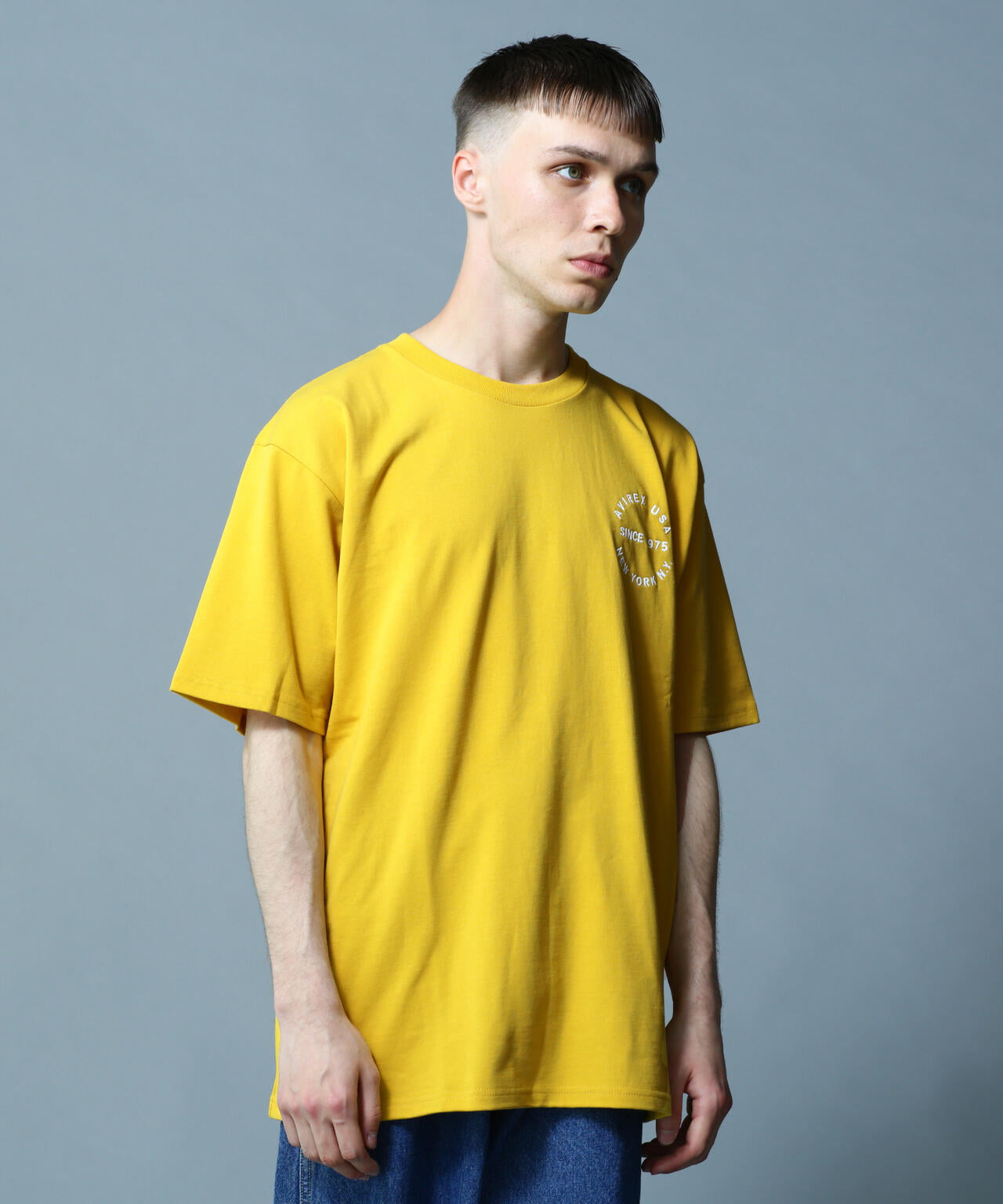 VARSITY LOGO T-SHIRT 2.0 / バーシティ ロゴ Tシャツ2.0 / AVIREX / アヴィレックス