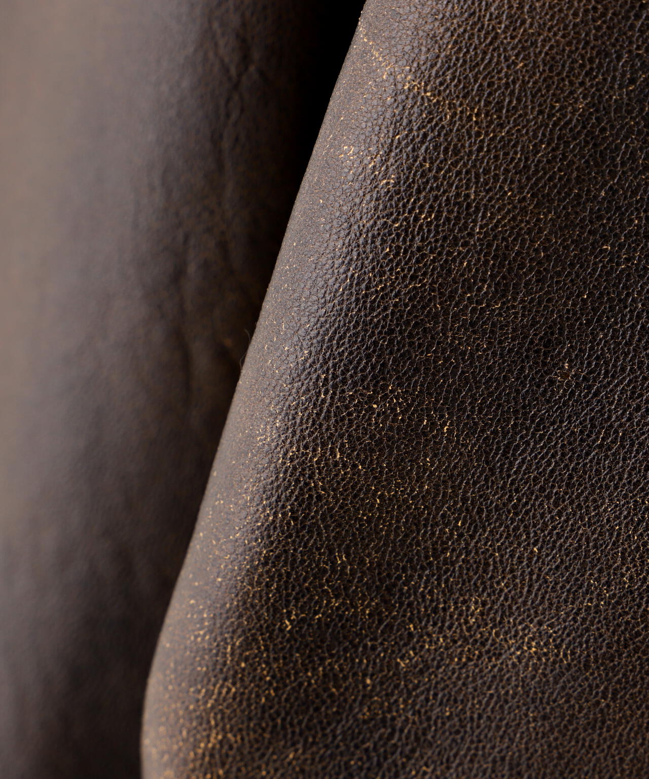 《50th Anniversary》A-2 BLOUSON / A-2 ブルゾン / AVIREX / アヴィレックス