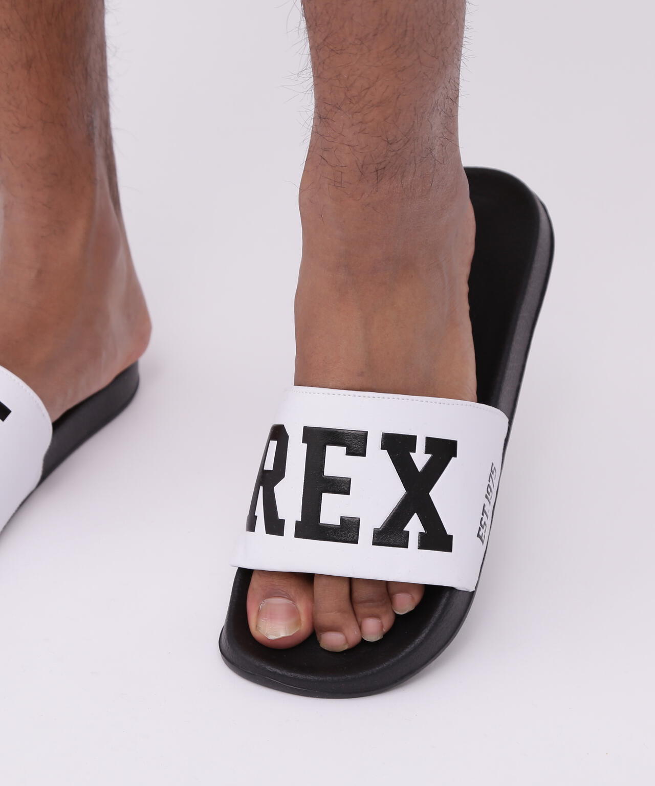 5763c411-320f-5be6-b7c1-9b404f36bff1_Image