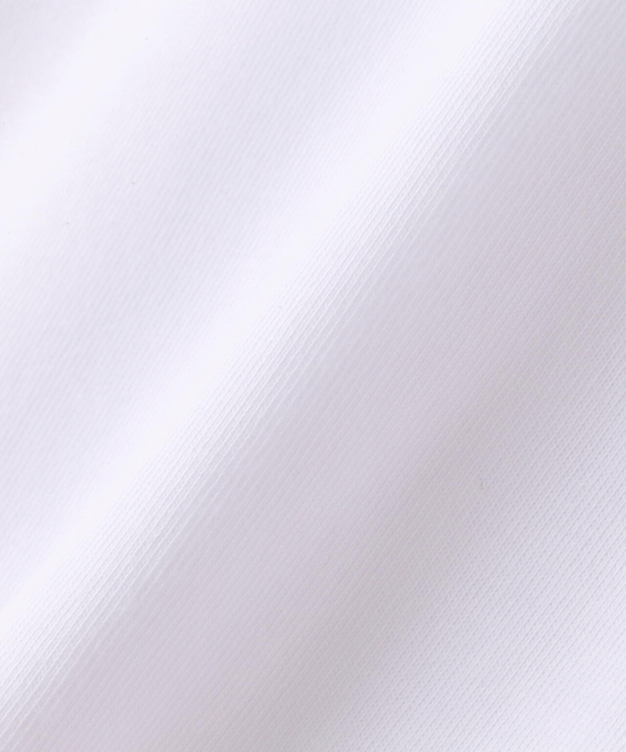 A4A エーフォーエー280gシルケット天竺ポケLST