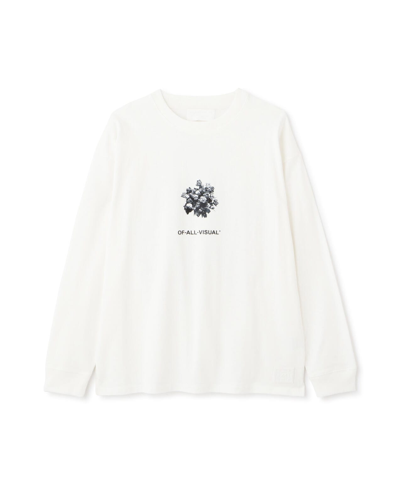 5e0287ca-73b6-5723-b85b-b49a418acff7_Image