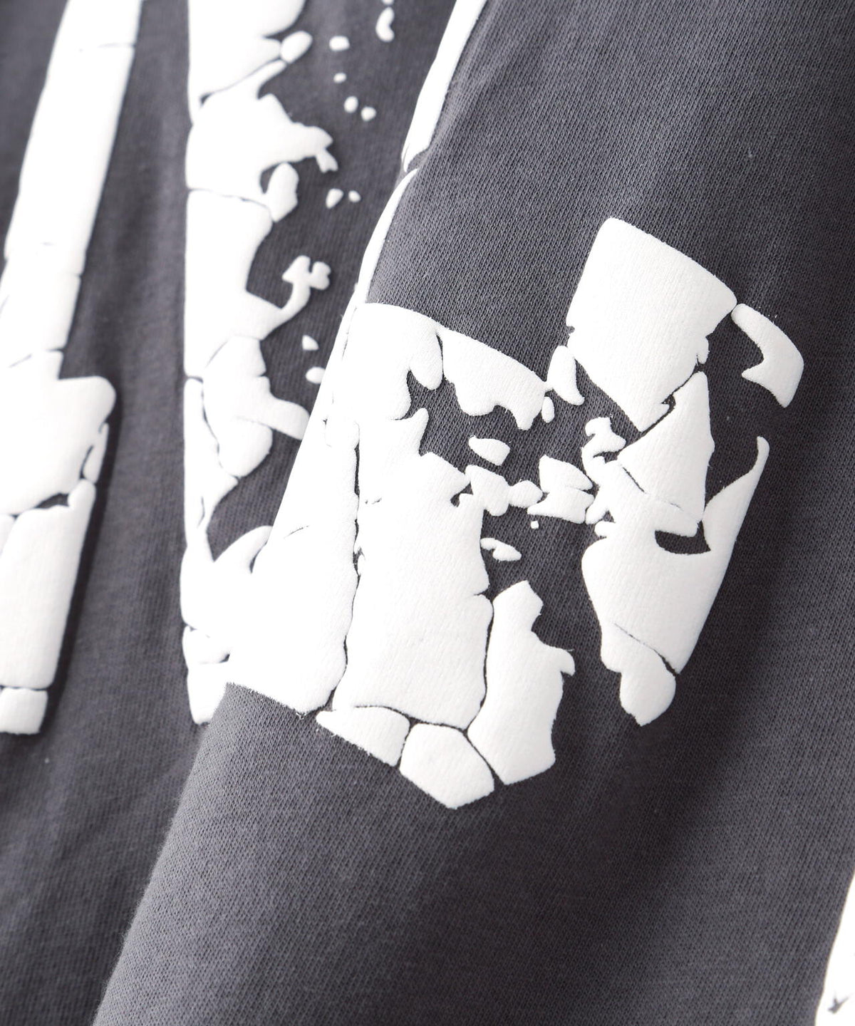 【WEB&DEPOT限定】DankeSchon/ダンケシェーン/ARCV LOGO LST/ロンT