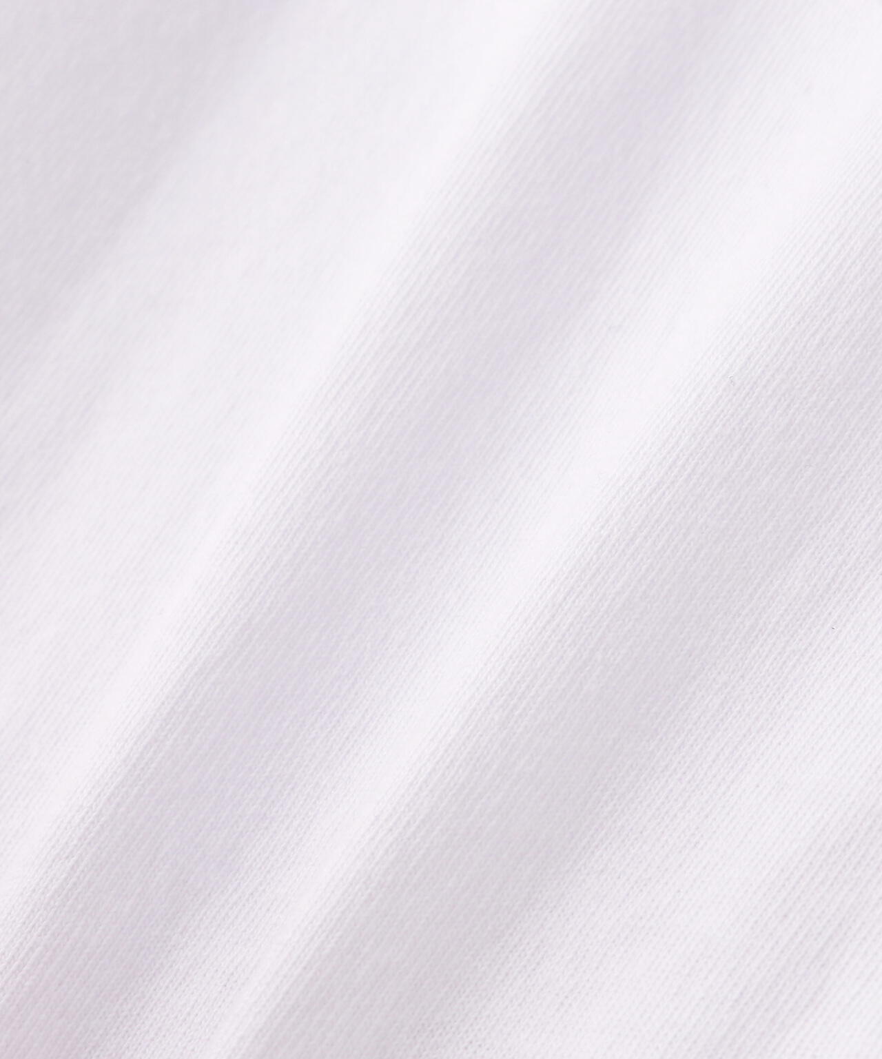 【WEB&DEPOT限定】WHITELAND/ホワイトランド/OWL/DAMEGE SST/ダメージ Tシャツ