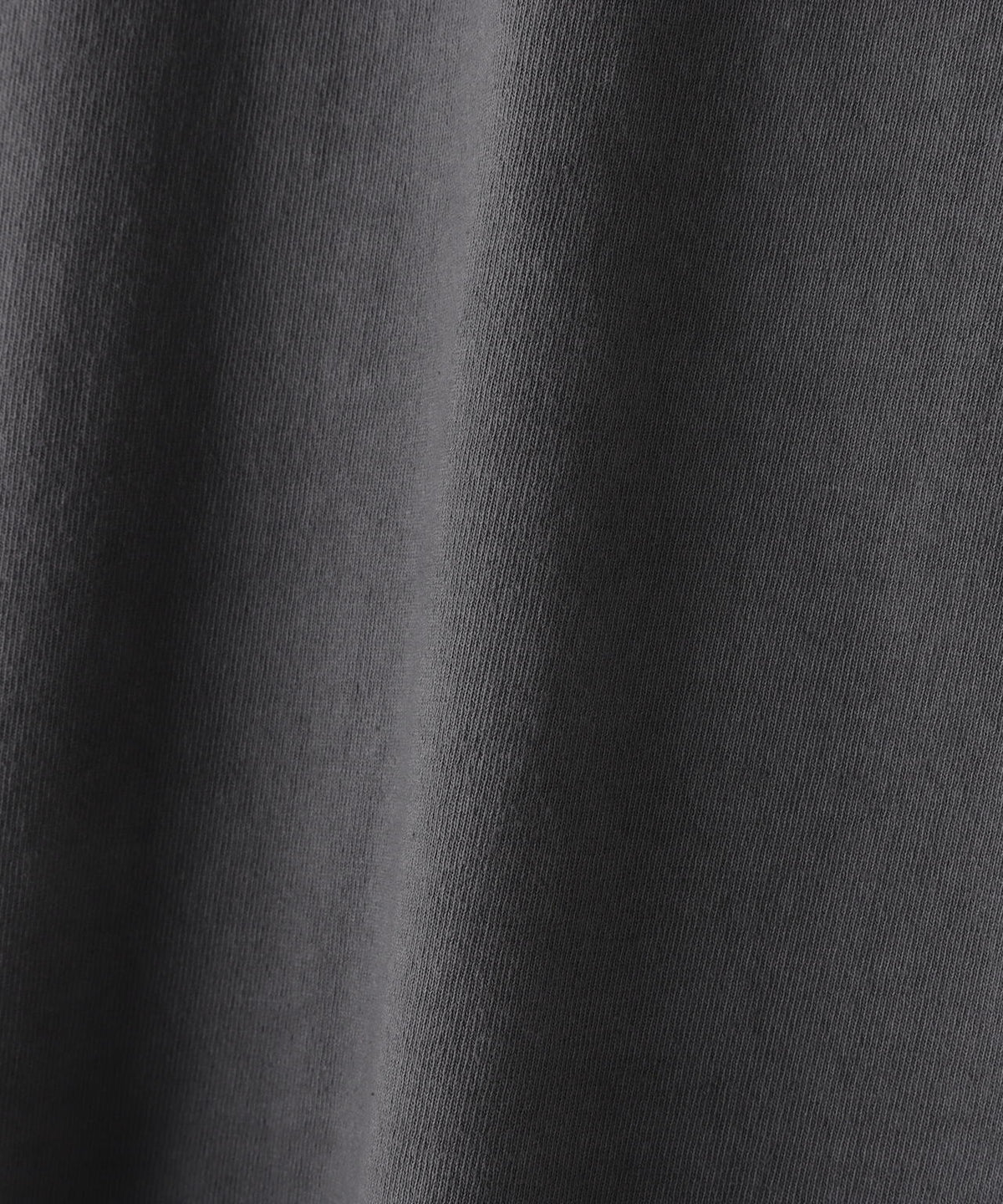 WEB&DEPOT限定/DankeSchon/活性染タイガー S/S Tee