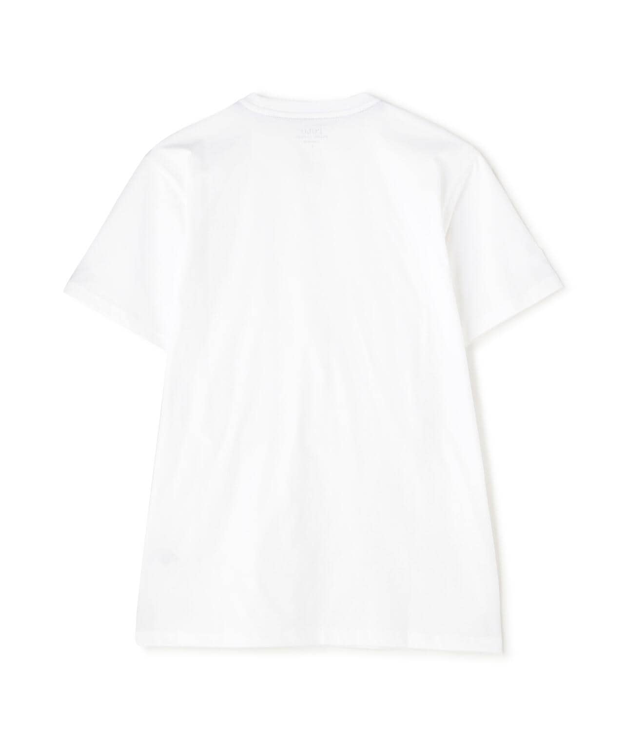 2fa526bb-6e17-5b14-97fa-45f16b6a8131_Image