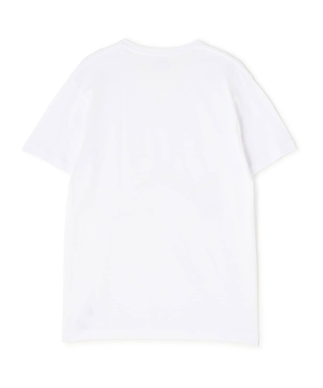 065a2c20-088d-51cf-86b5-13880e513277_Image