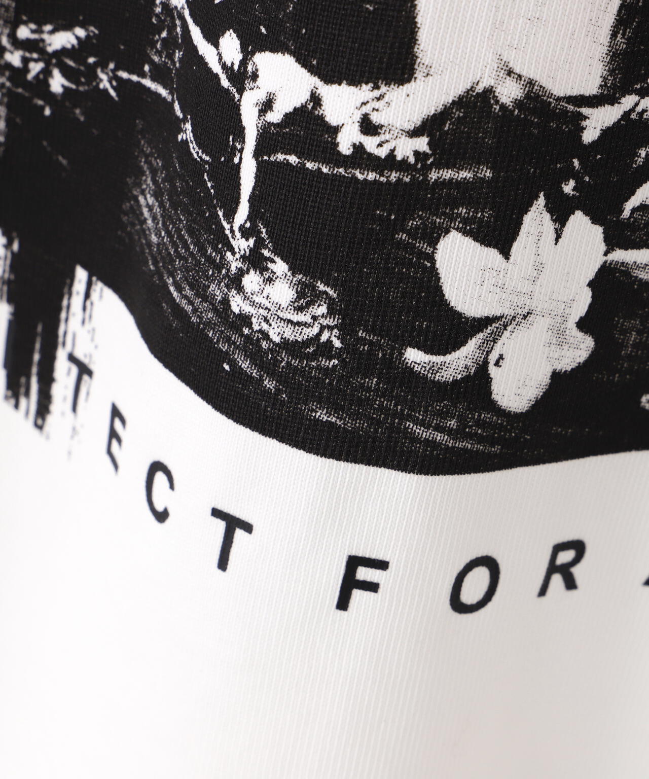 1120aa0f-530c-5bf0-8e01-2c116a987707_Image