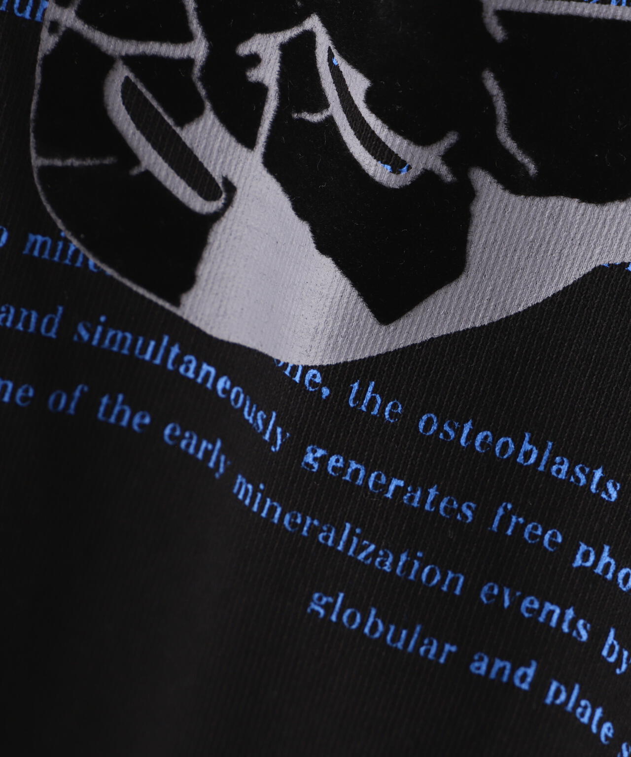 DankeSchon/ダンケシェーン/SWITCH L/S TEE BORN