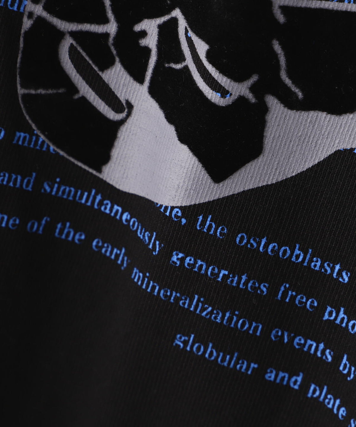 DankeSchon/ダンケシェーン/SWITCH L/S TEE BORN
