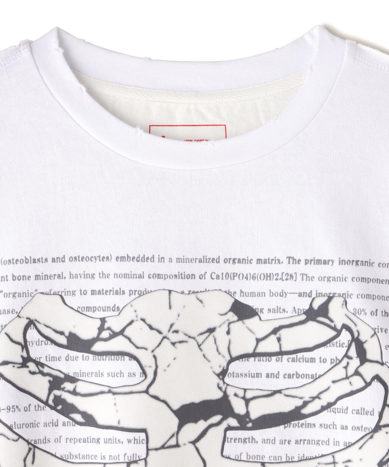 DankeSchon/ダンケシェーン/SWITCH L/S TEE BORN