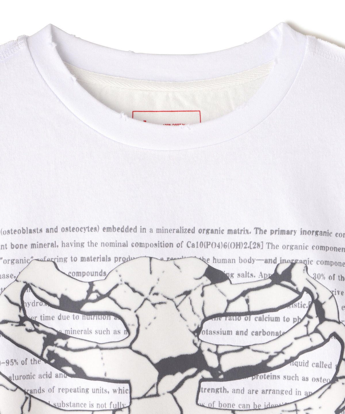 DankeSchon/ダンケシェーン/SWITCH L/S TEE BORN