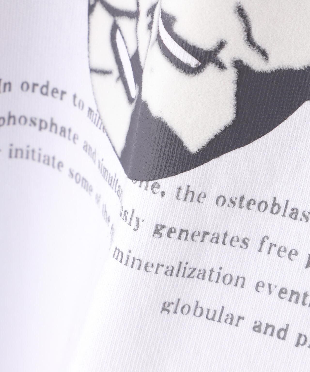 38ceecea-a627-5c62-bb77-b11e904419a2_Image