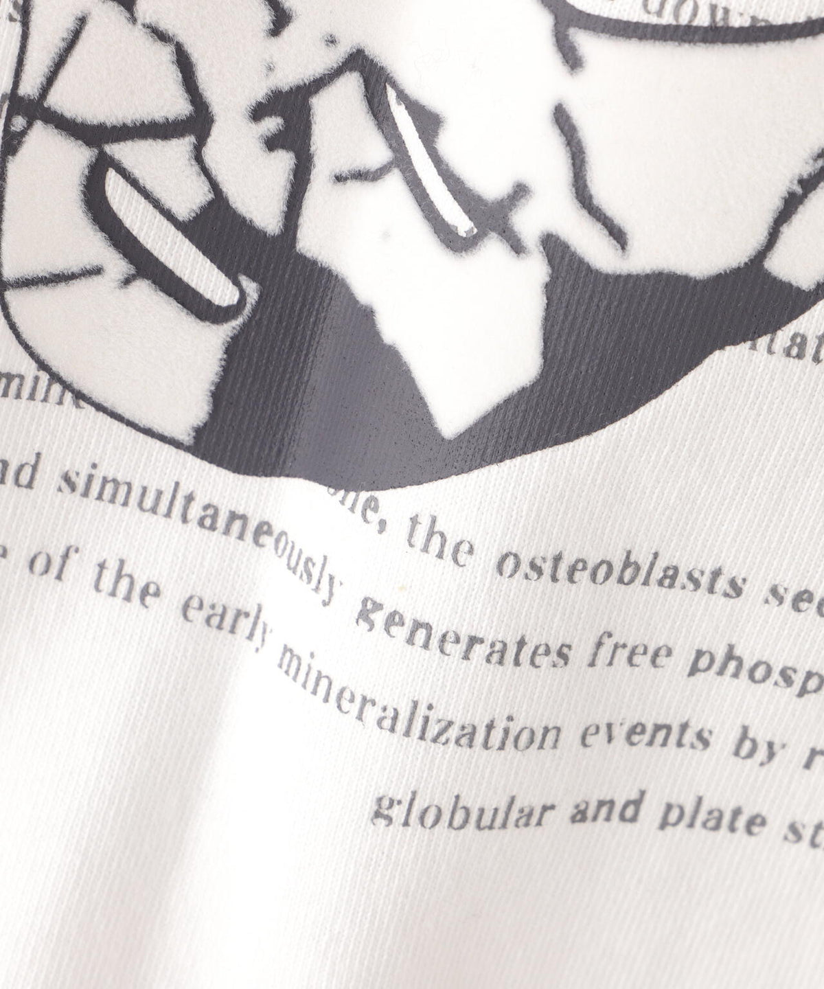 DankeSchon/ダンケシェーン/SWITCH L/S TEE BORN