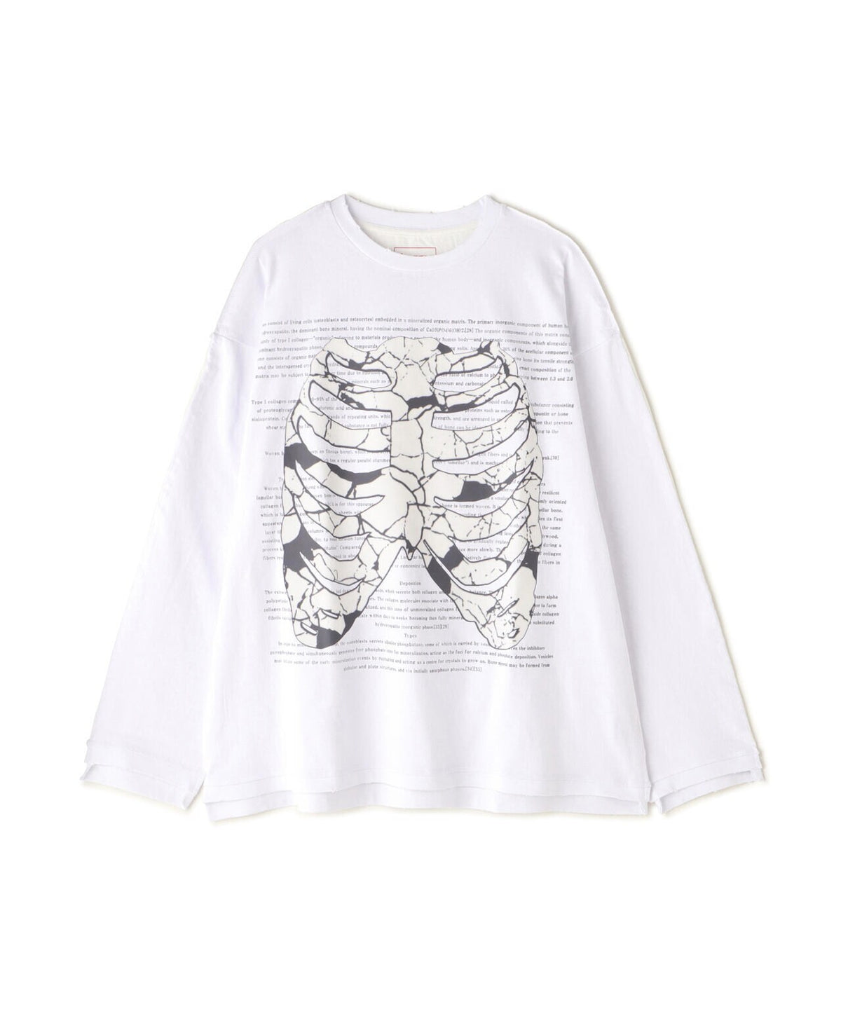 DankeSchon/ダンケシェーン/SWITCH L/S TEE BORN
