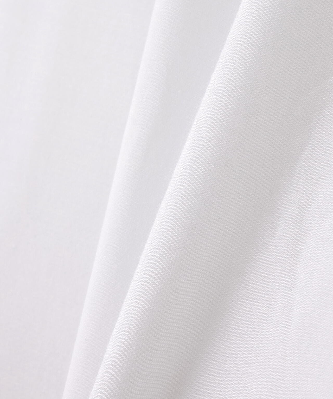 neuron/にゅうろん/DEPPURIINU ロングTシャツ