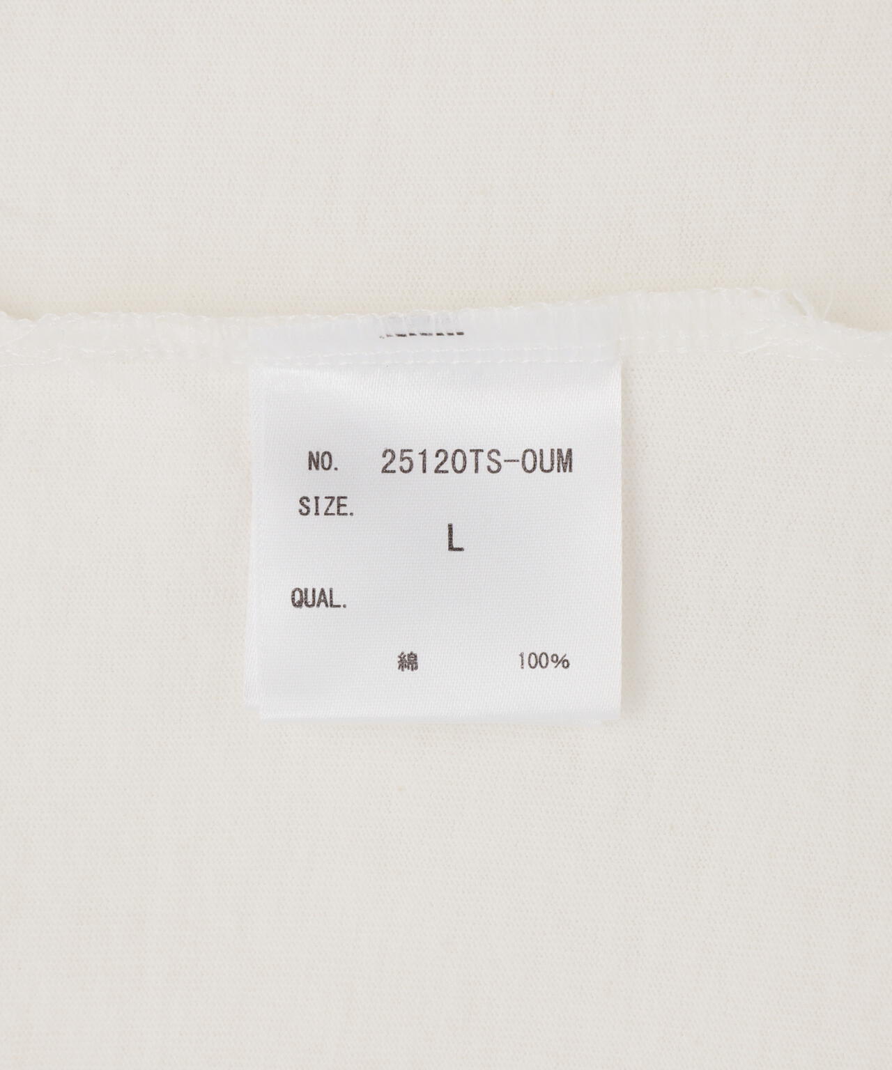 867a71cd-e96e-5236-adf5-7ff8f625cbf3_Image