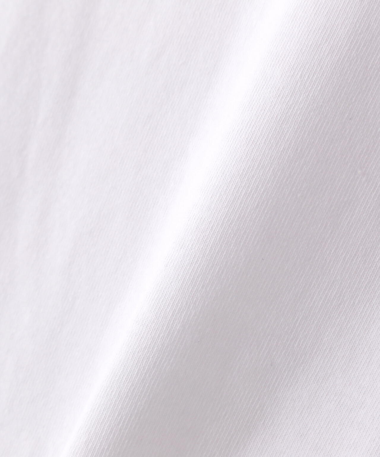 【WEB&DEPOT限定】WHITELAND/ホワイトランド/OWL/MINI SILICON SST