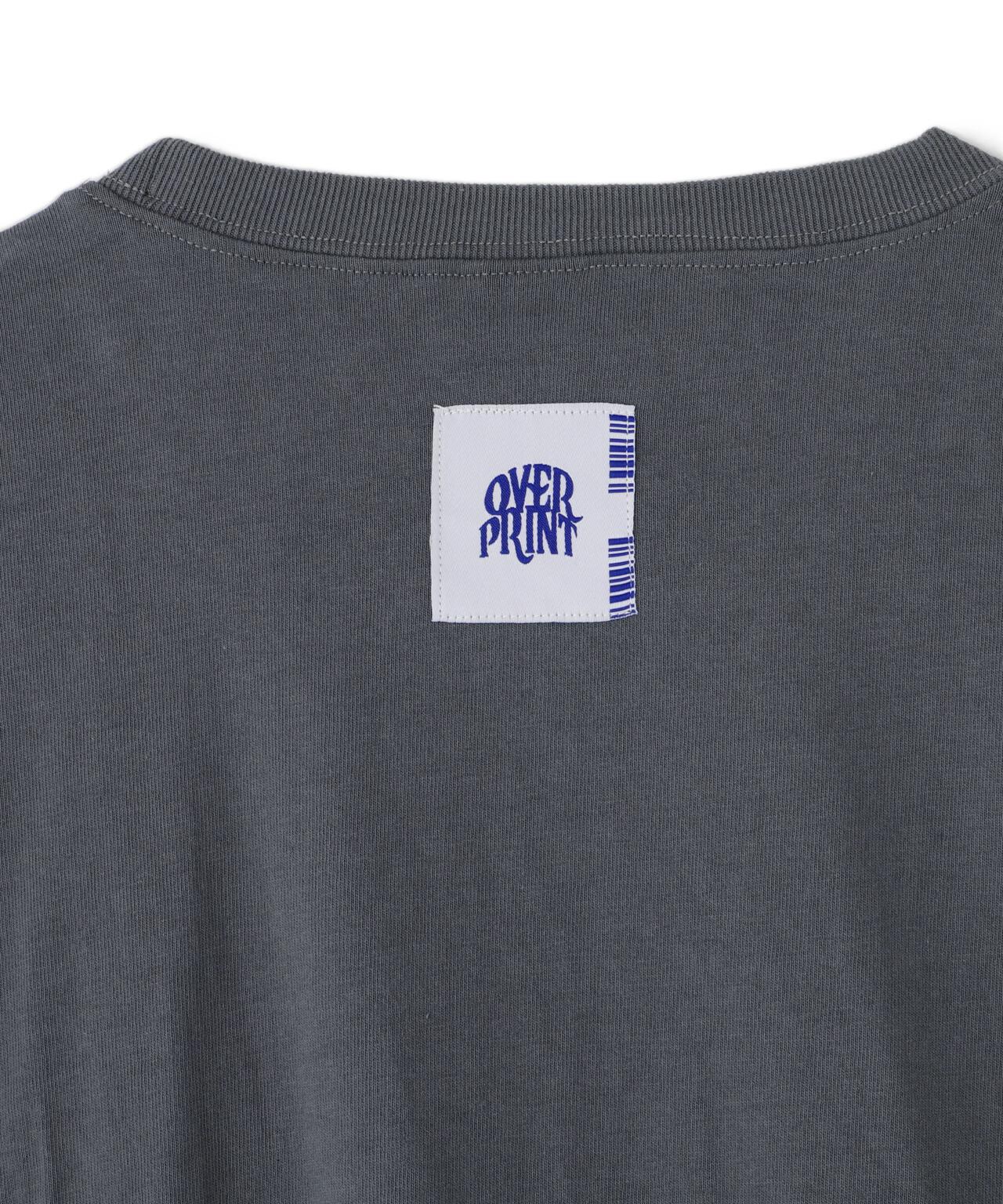 5c265228-ea03-5377-80ef-4fd852fd26a3_Image