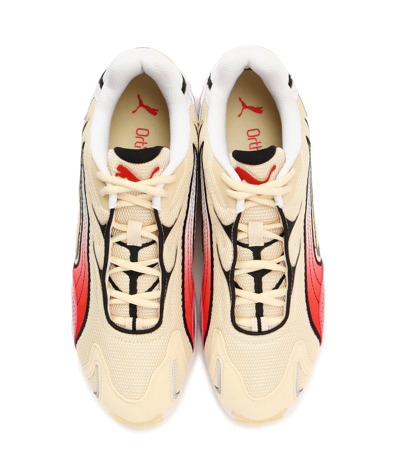 0d8134f9-032d-5ae8-af65-0095f78ad03c_Image