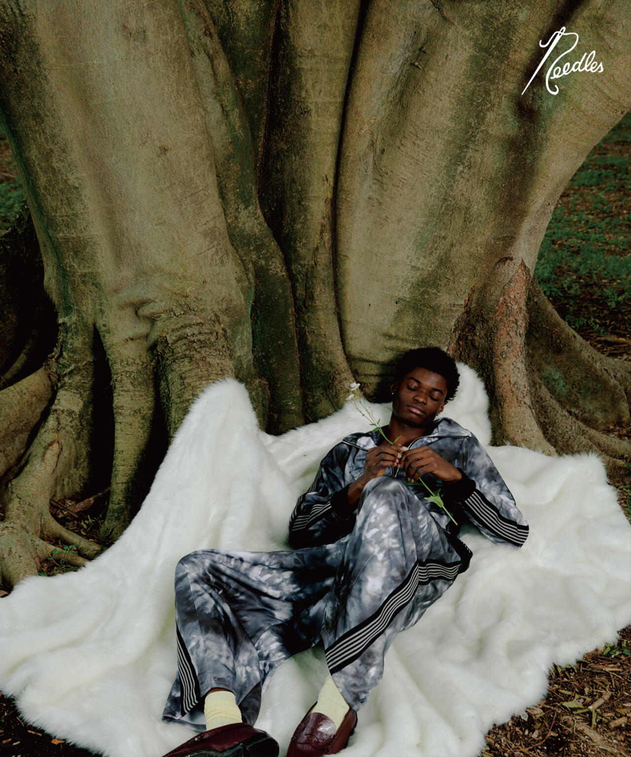 474bbb9f-057d-54de-ba5c-6ce7961d83c7_Image