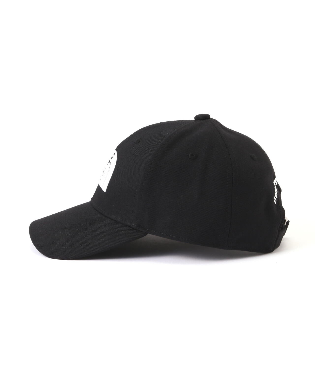 THE NORTH FACE/ザ・ノース・フェイス/LOGO CAP
