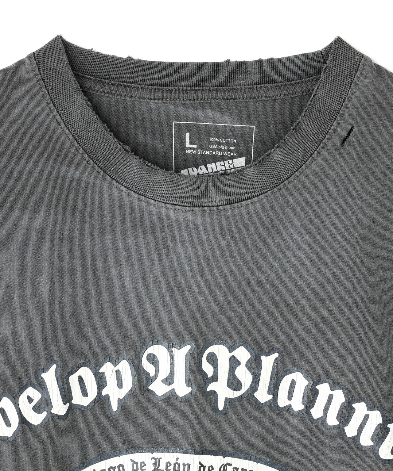 DankeSchon/ダンケシェーン/PIGMENT EMBLEM S/S TEE