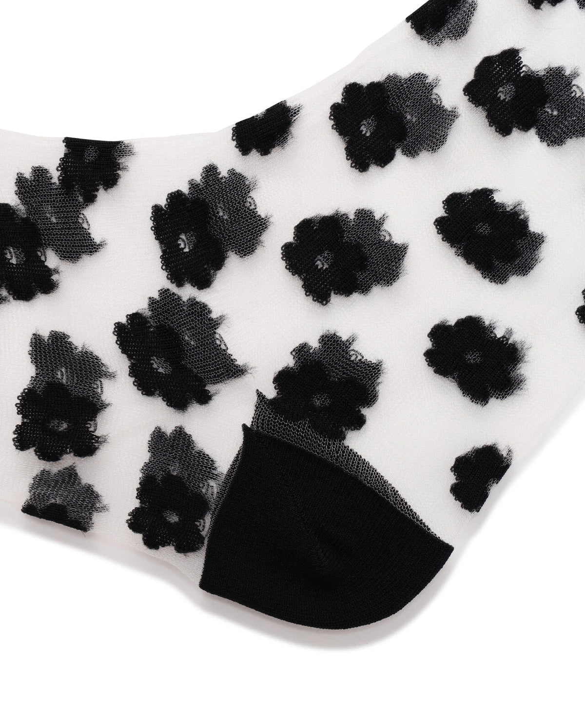 Torenia/トレニア/DOT SOCKS