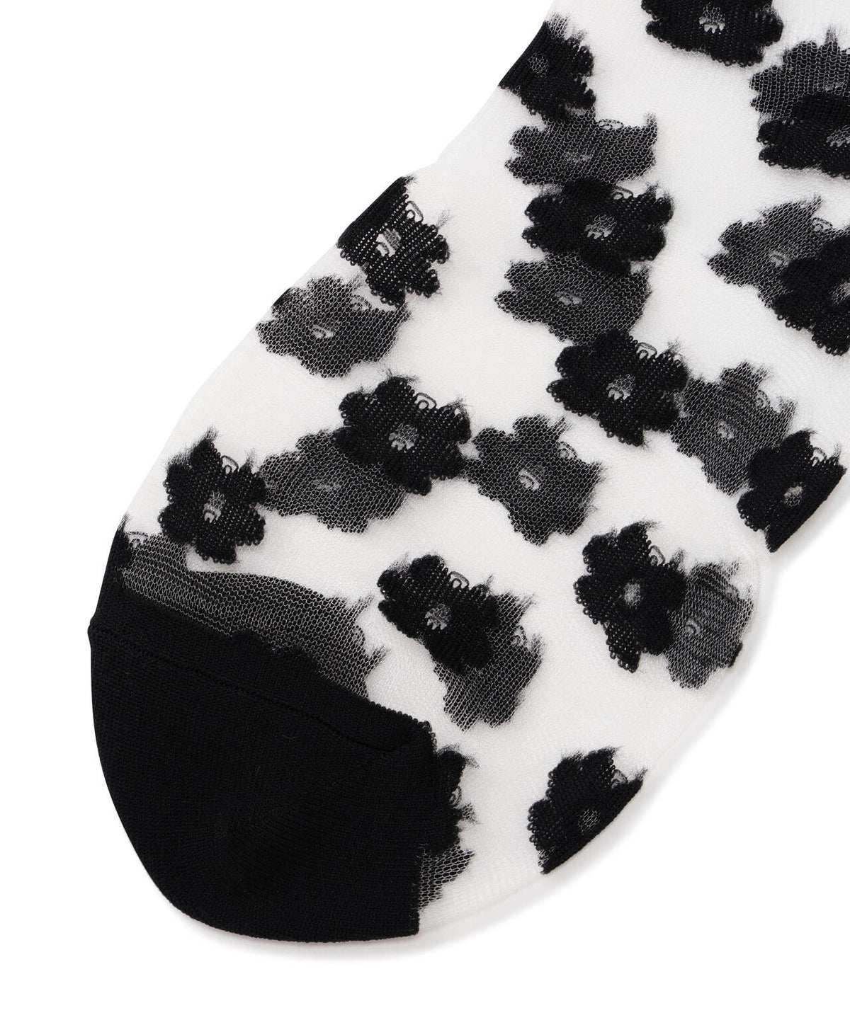 Torenia/トレニア/DOT SOCKS