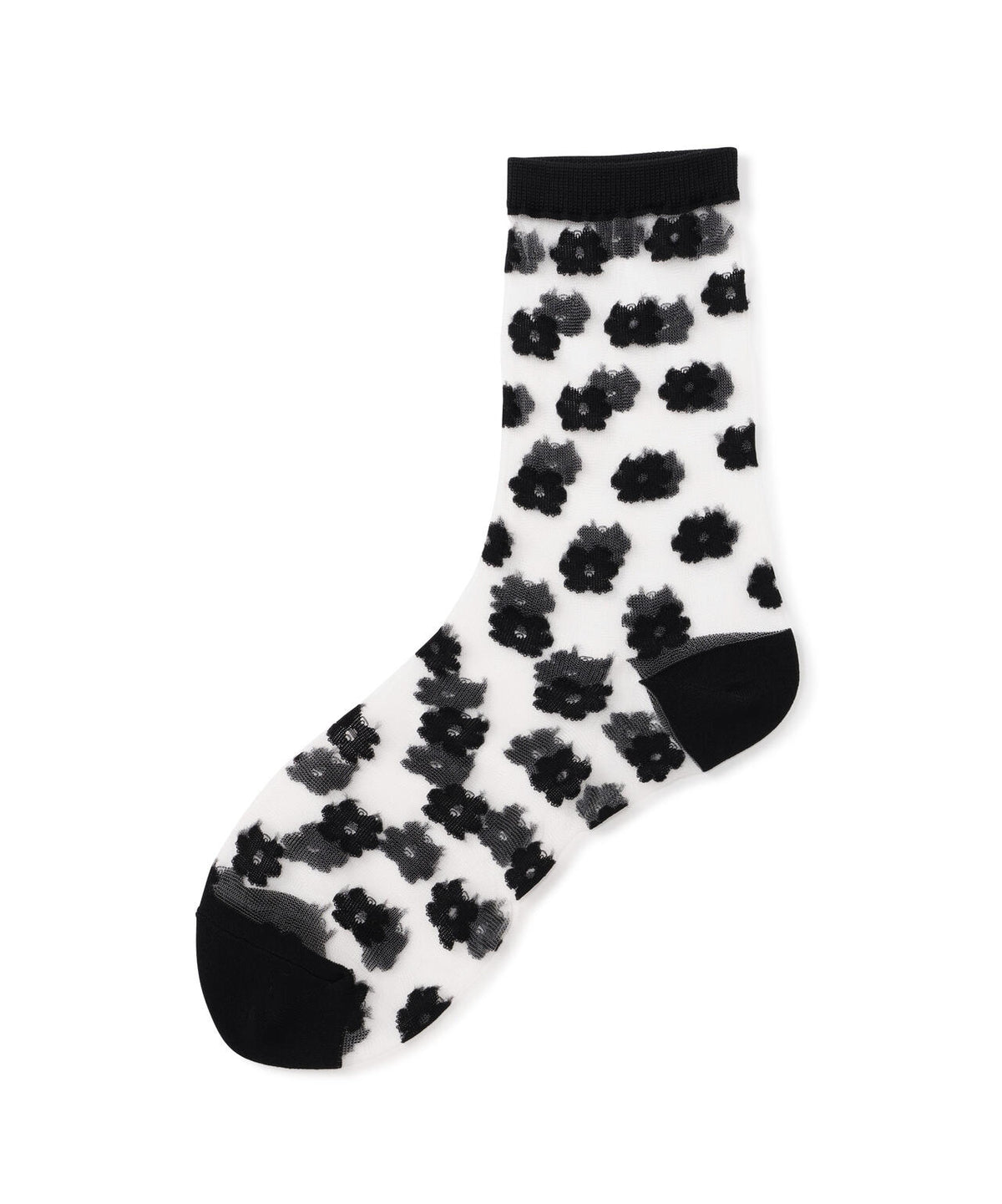 Torenia/トレニア/DOT SOCKS
