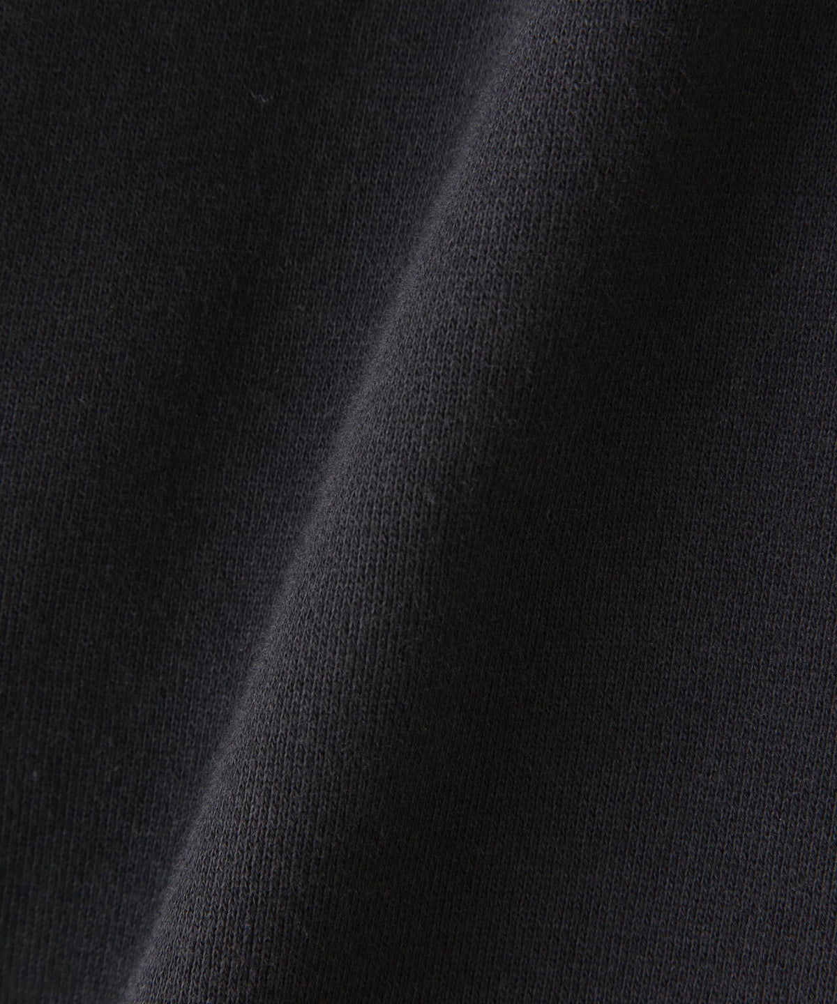 THE NORTH FACE (ザ・ノースフェイス)Reaview FullZio Hoodie リアビューフルジップフーディ