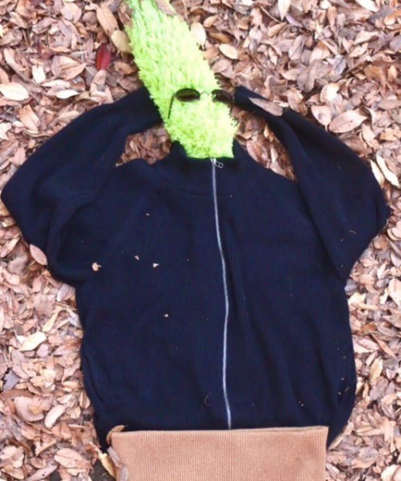 0903796e-e9d4-5488-8fba-3d8199d61a76_Image