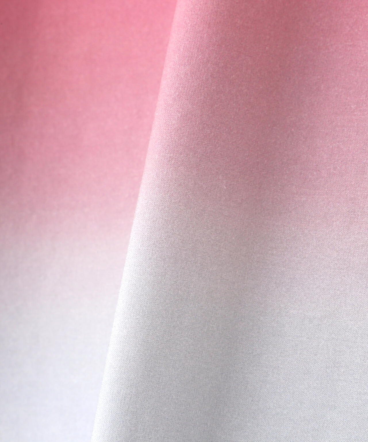AULA AILA(アウラ アイラ)別注グラデーションTシャツ