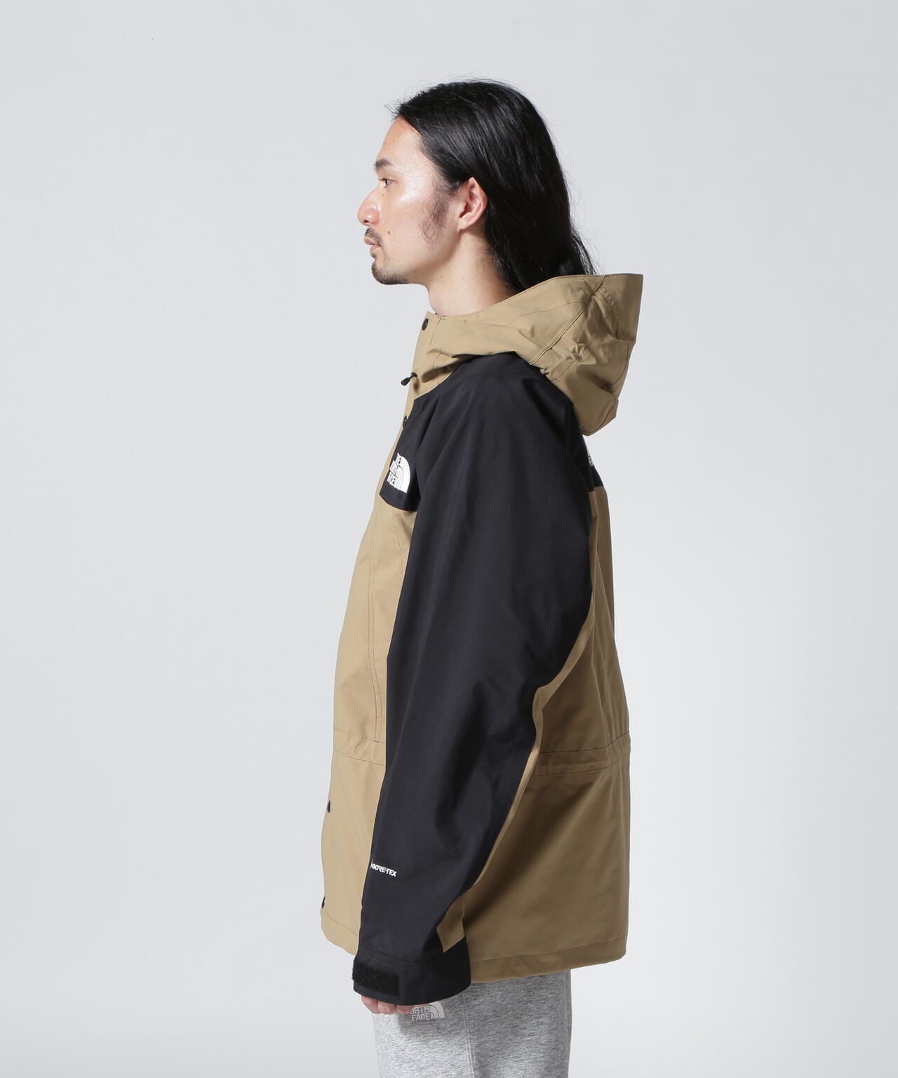 THE NORTH FACE(ザ・ノース・フェイス) Mountain Light Jacket