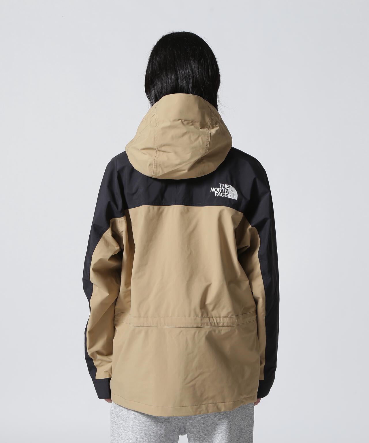 THE NORTH FACE(ザ・ノース・フェイス) Mountain Light Jacket
