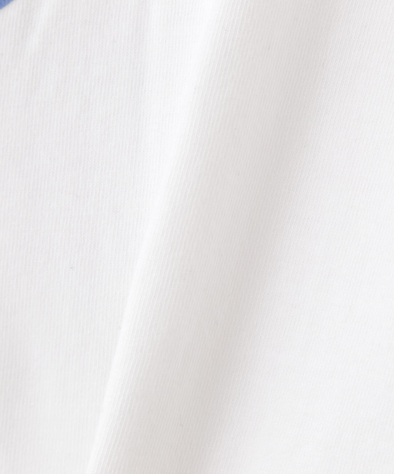 a00ac0de-66f9-5c34-8d80-8b1da9de3970_Image