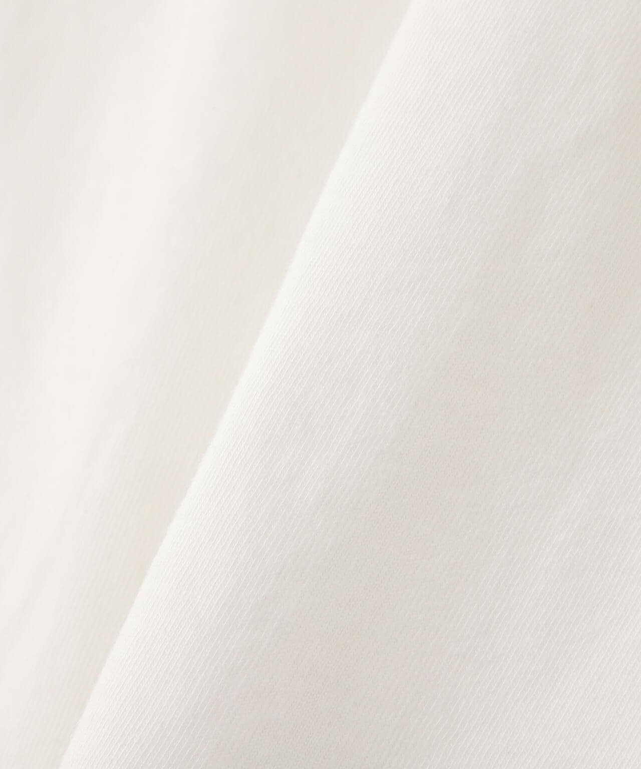 REMI RELIEF / 別注LW加工20/-天竺BIGサイズT(刺繍:tiger&doragon)