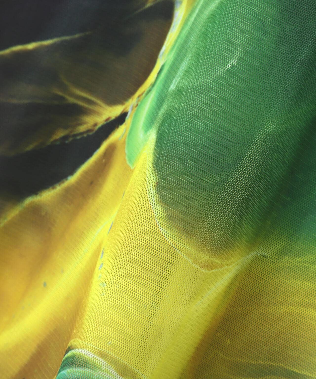 cfd504bb-fdea-5046-bef8-d0aabdbfd202_Image