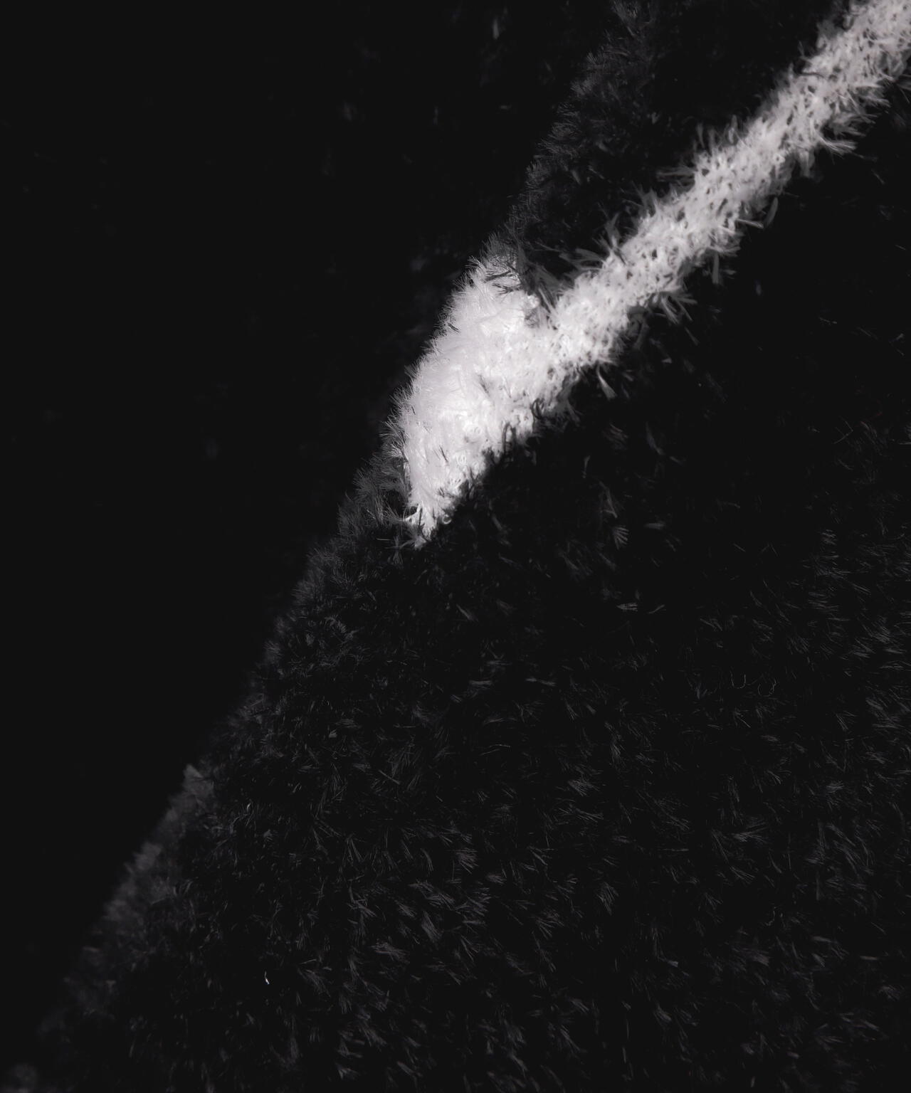 531022c1-f161-59e1-bd2a-199f27d31dc9_Image