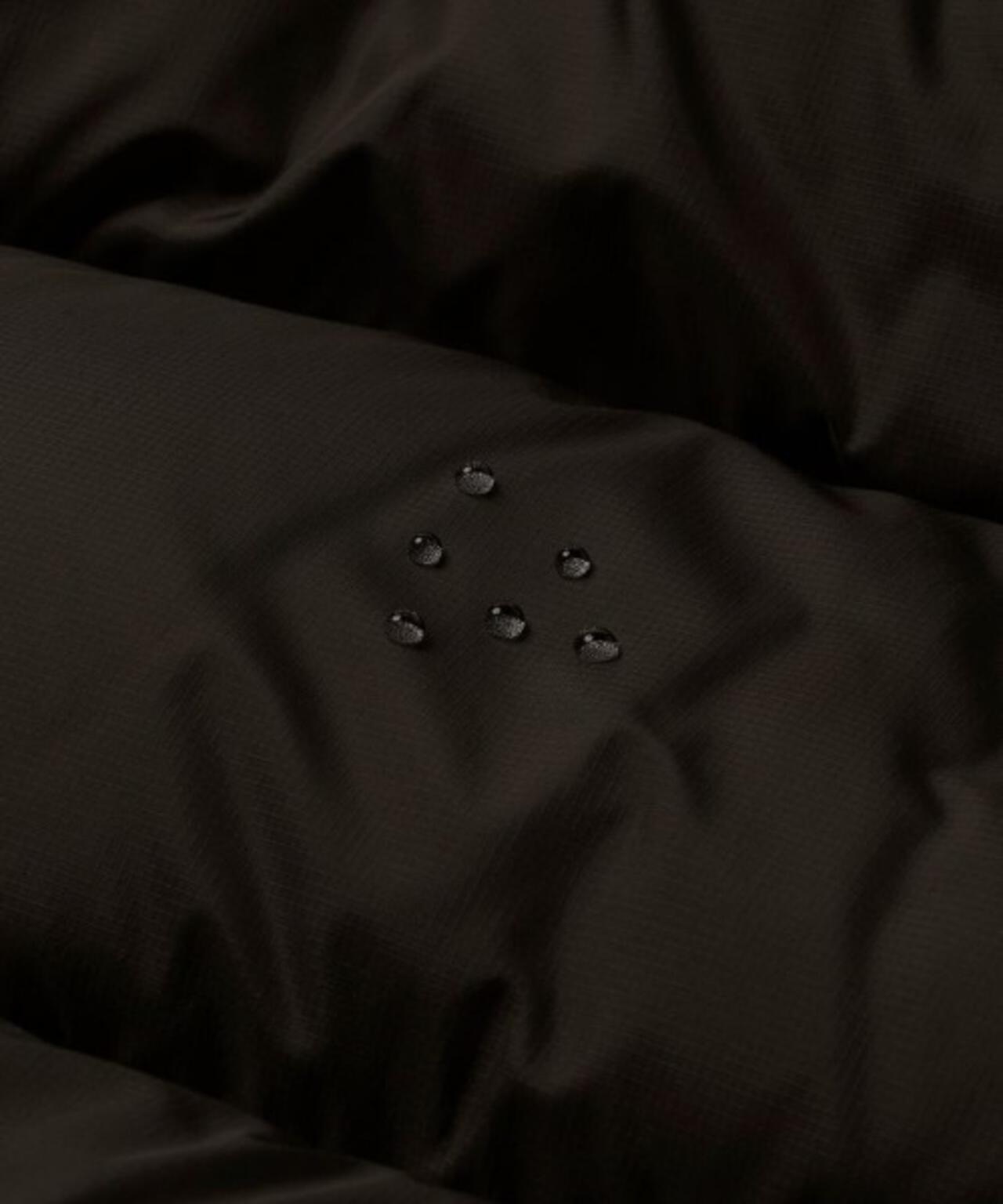 9eb2d540-714e-5397-aeda-0e4883f50a5d_Image