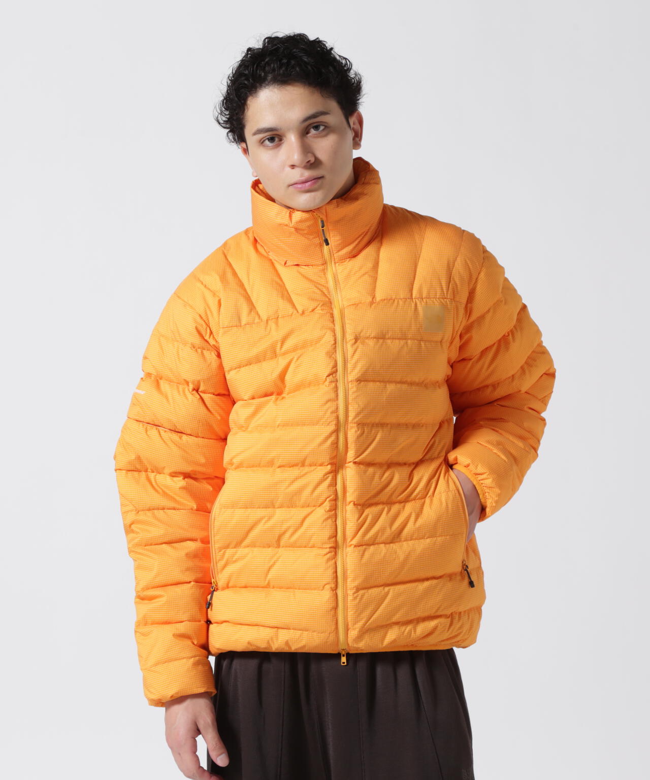 THE NORTH FACE / Enride convertible down jacket