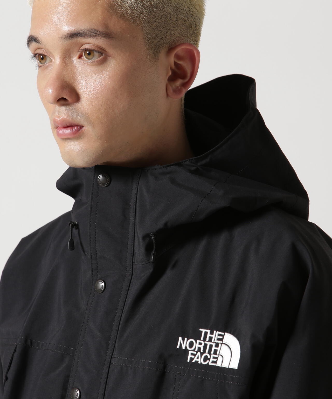 THE NORTH FACE(ザ・ノース・フェイス) Mountain Light Jacket
